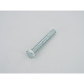 46 - SCREW DIN933 10x70 ZN